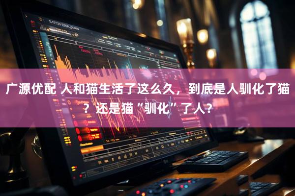 广源优配 人和猫生活了这么久，到底是人驯化了猫？还是猫“驯化”了人？