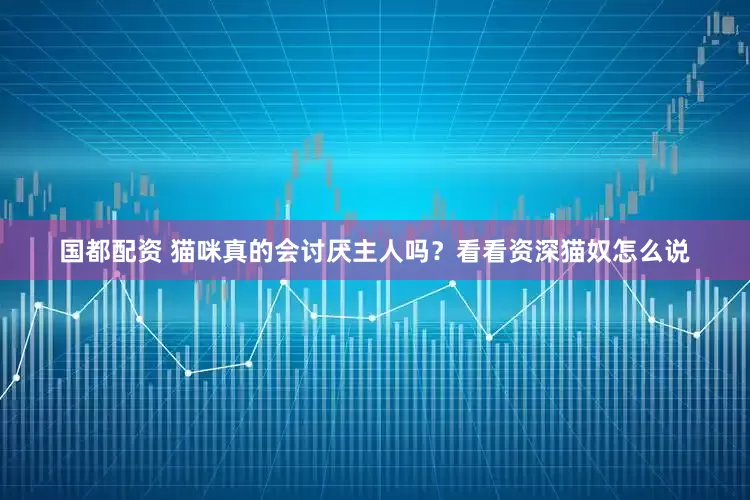 国都配资 猫咪真的会讨厌主人吗？看看资深猫奴怎么说