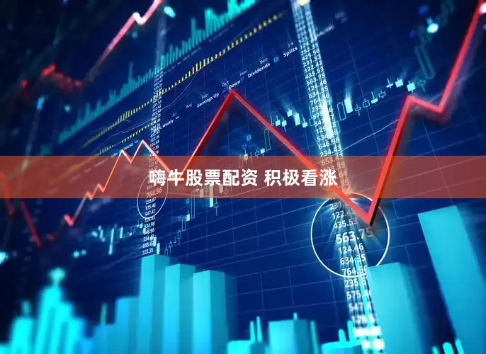 嗨牛股票配资 积极看涨