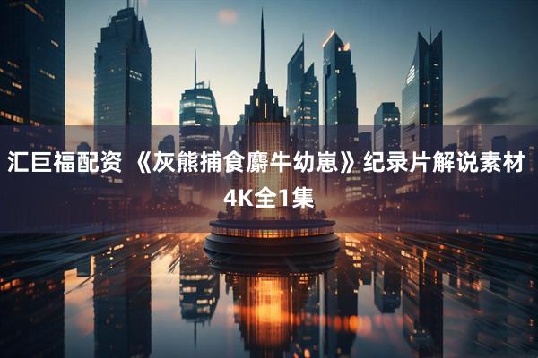 汇巨福配资 《灰熊捕食麝牛幼崽》纪录片解说素材 4K全1集