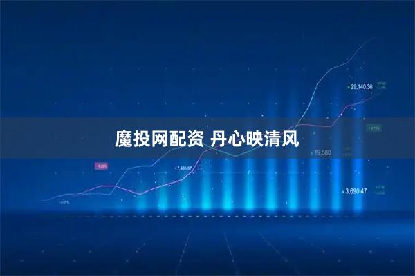 魔投网配资 丹心映清风